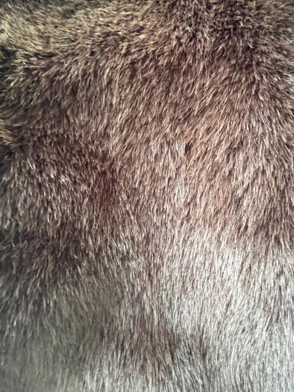 Faux-fur jacket - Picture 4 of 5